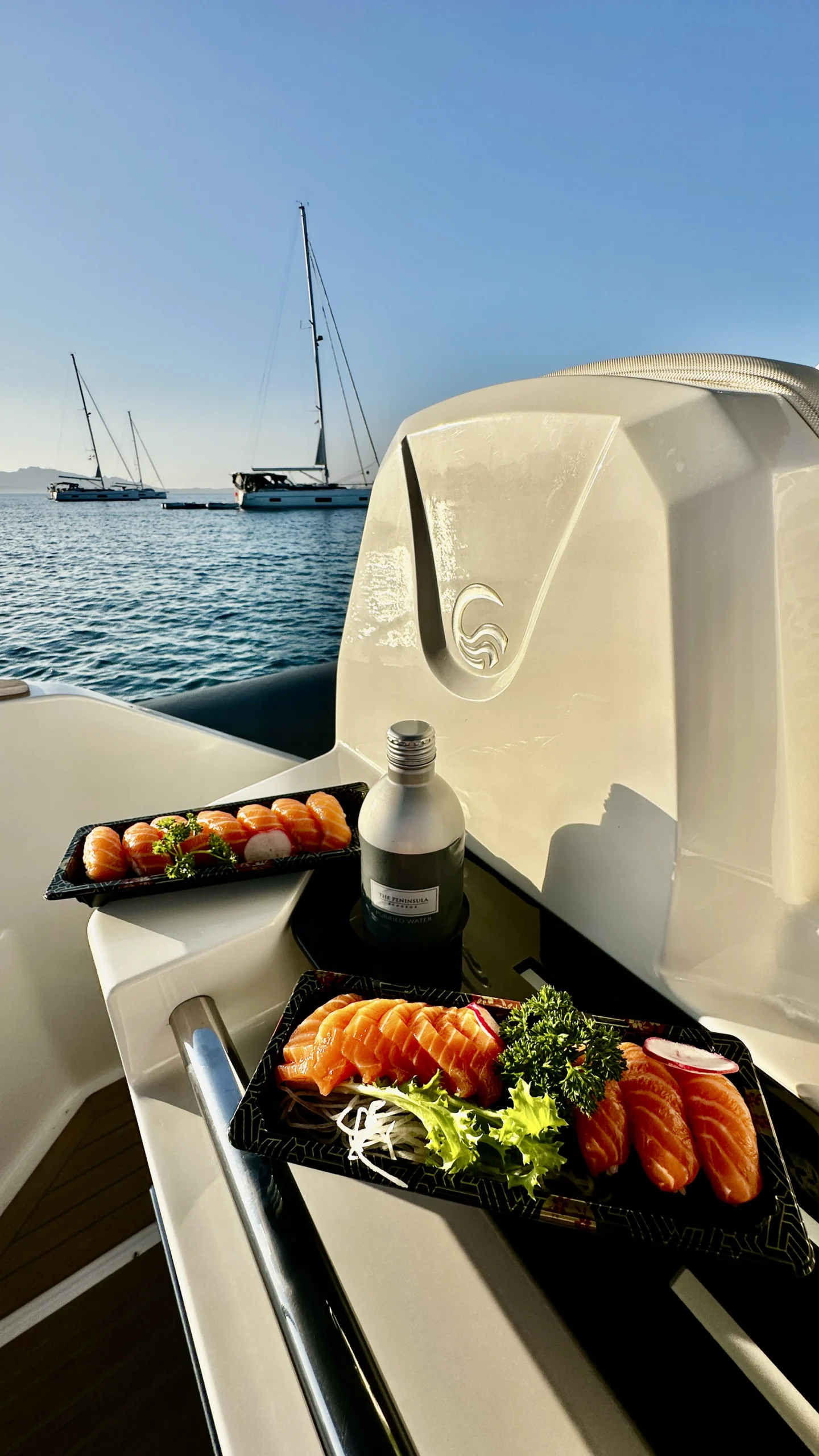 NaMar Charter Noleggio Gommoni Porto Rotondo - FAQ